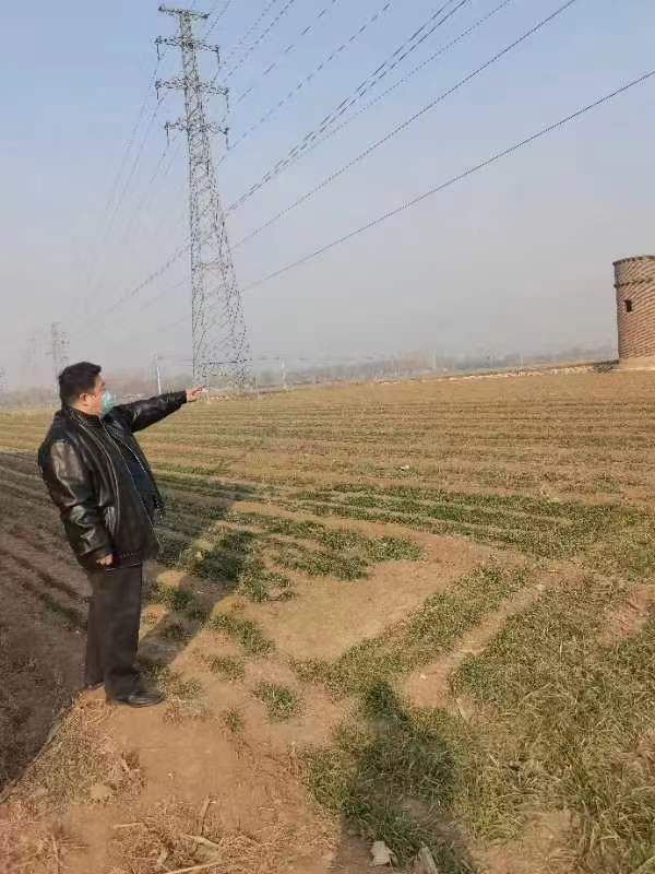 宁阳县征地项目稳评正在举行中...