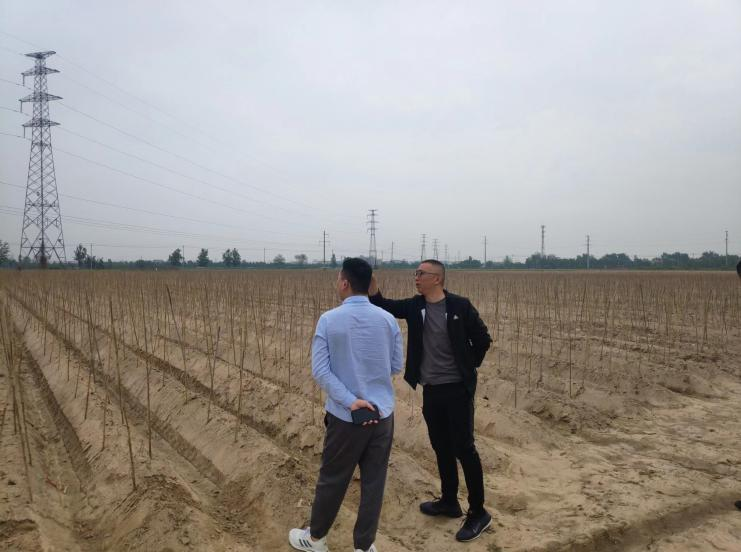 菏泽郓城线路迁改工程稳评已顺遂完结！