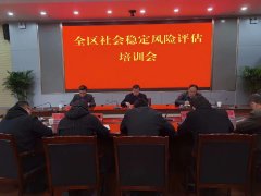 泰山区社会稳固危害评估事情培训会召开
