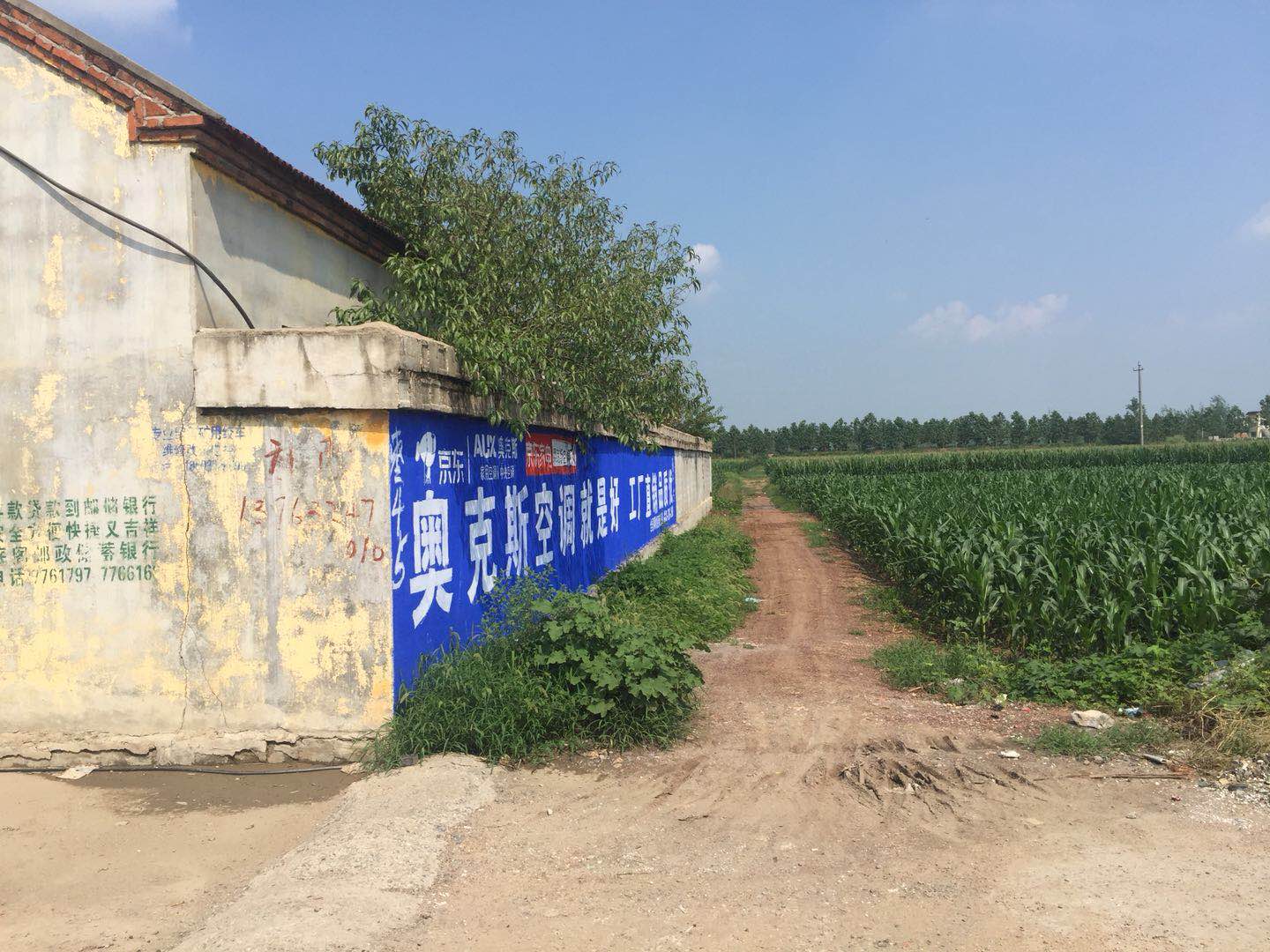 大丰国际(中国区) - 官方网站