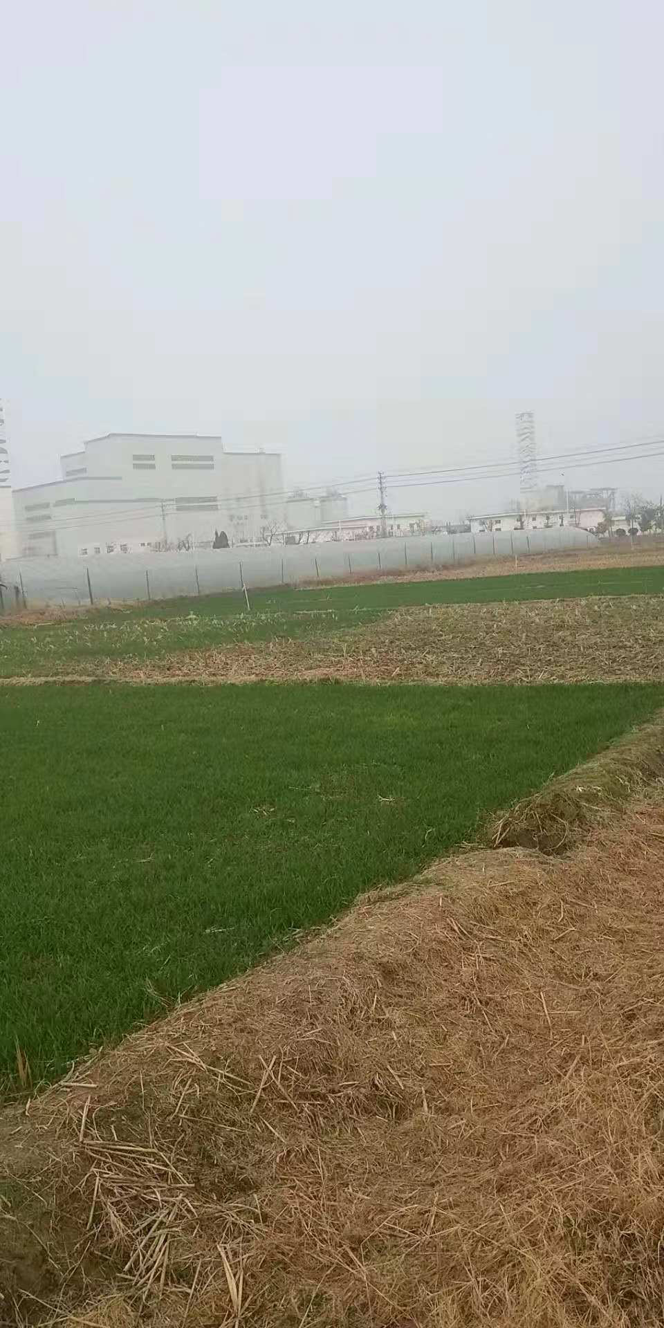 大丰国际(中国区) - 官方网站
